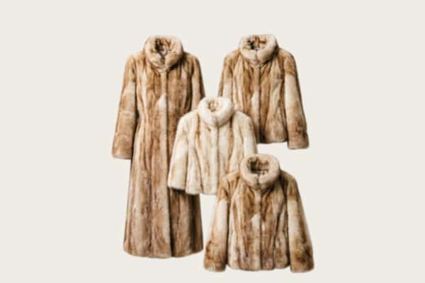 清远回收皮草衣服